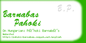 barnabas pahoki business card